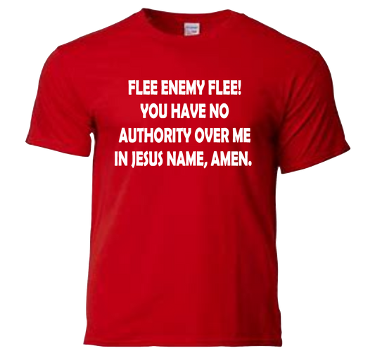 Flee Enemy Flee T-Shirt